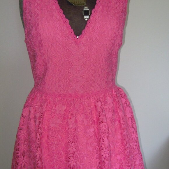 Alice + Olivia designer Pink Fit & Flare Lace Dress SIZE 0 New w/o Tags - Picture 1 of 11